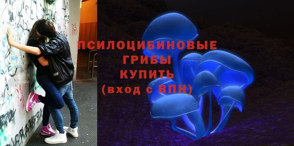 метадон Пестово