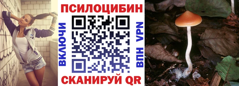 кракен   Феодосия  Галлюциногенные грибы Cubensis 
