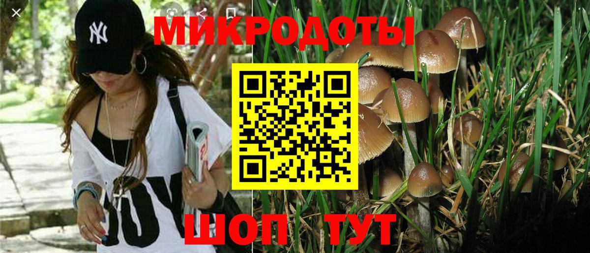 Псилоцибиновые грибы MAGIC MUSHROOMS Феодосия